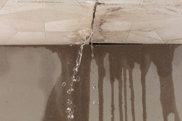 Professional Structural Drying technician working in Baldwyn, MS